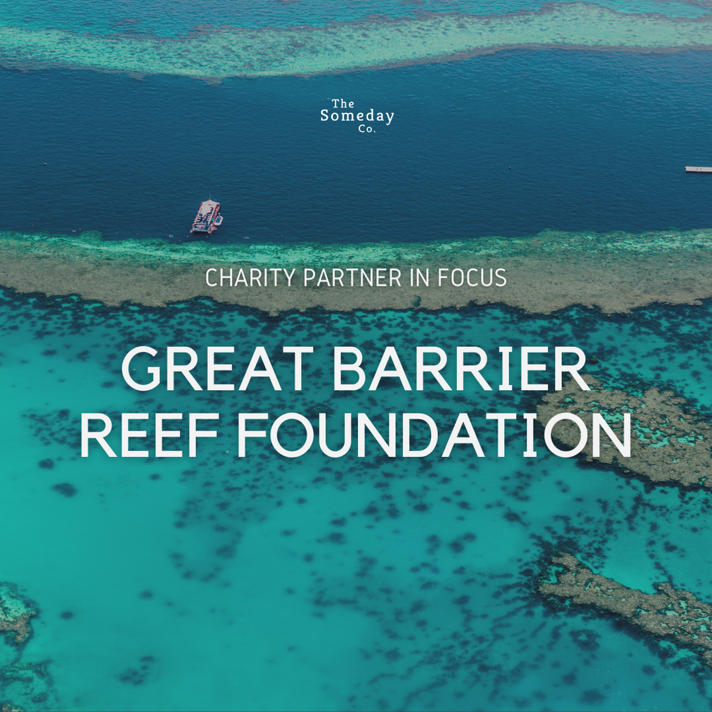 Great Barrier Reef Foundation: in focus