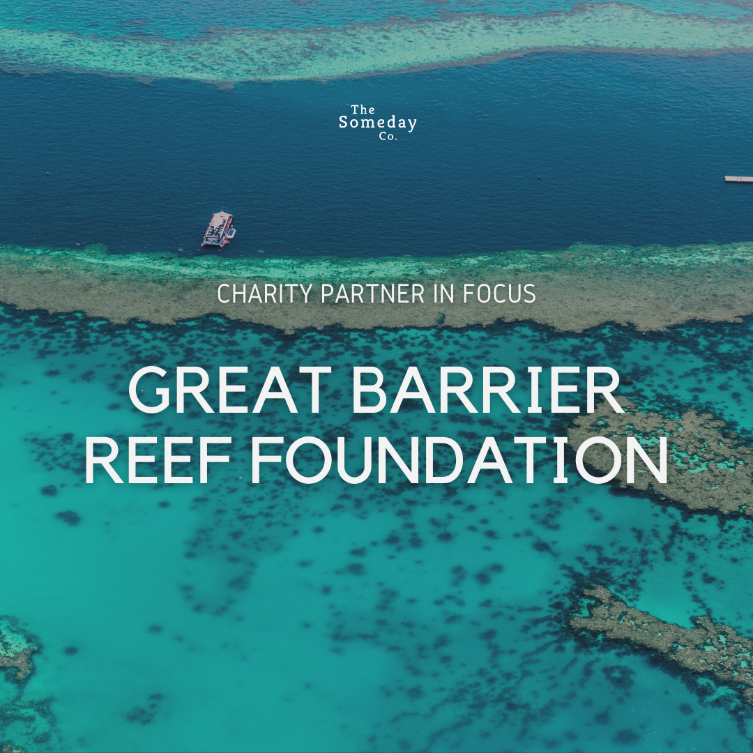 Charity Partner In Focus The Great Barrier Reef Foundation The